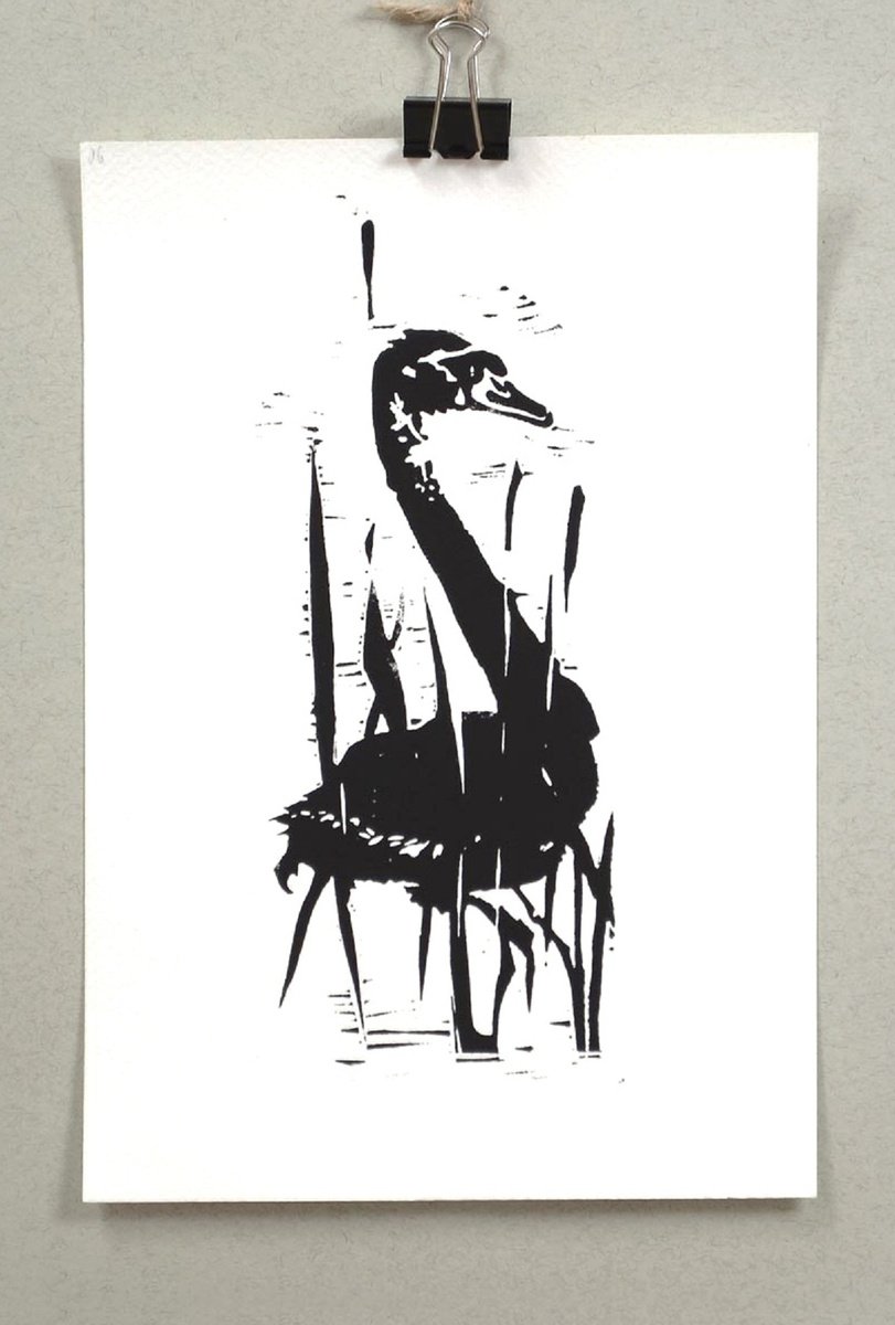 Illustrative Animal Linocut By Marin Victor, 7 X 10", Black Swan, Linocut Art, Original Artwork