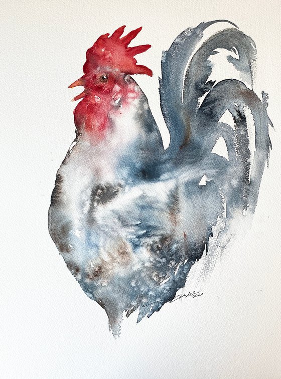 Red Head_ Rooster