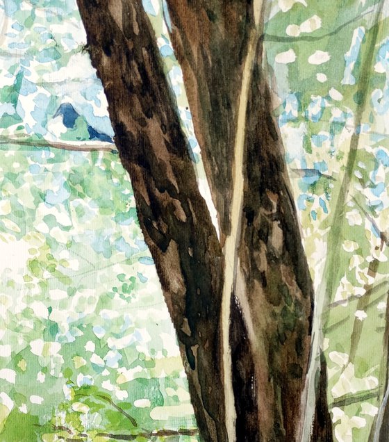 Around the tree