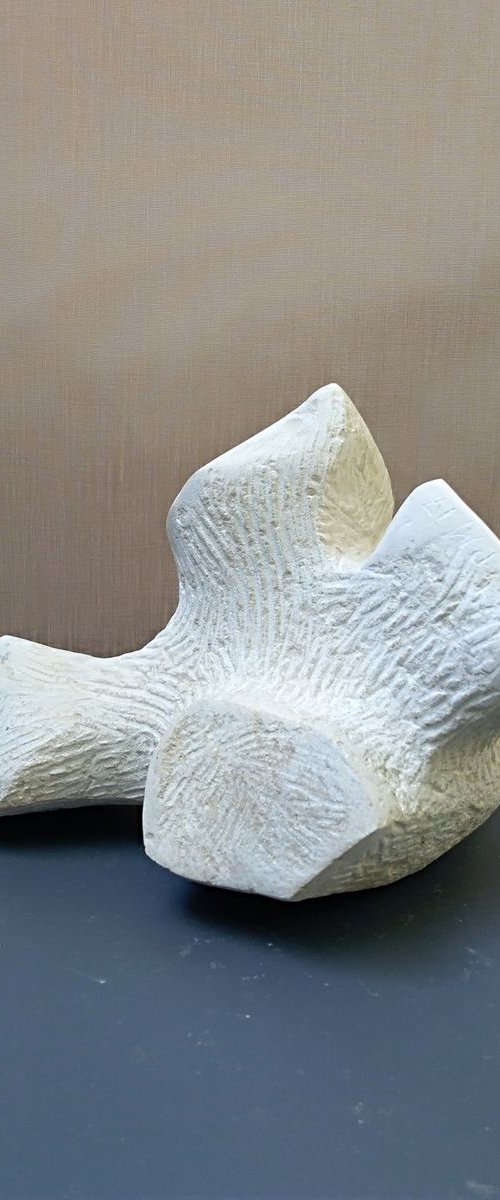 "Bone" by Rasho Mitev