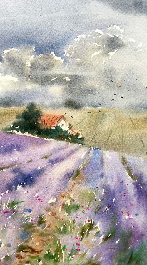 Lavender field and clouds by Eugenia Gorbacheva