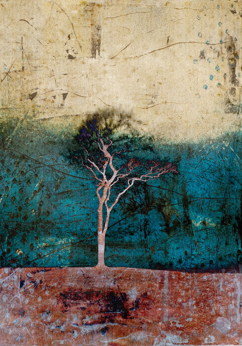 Landscape Photograph By Claire Newman-Williams, 18 X 24, Tree Of Life, Original Artwork