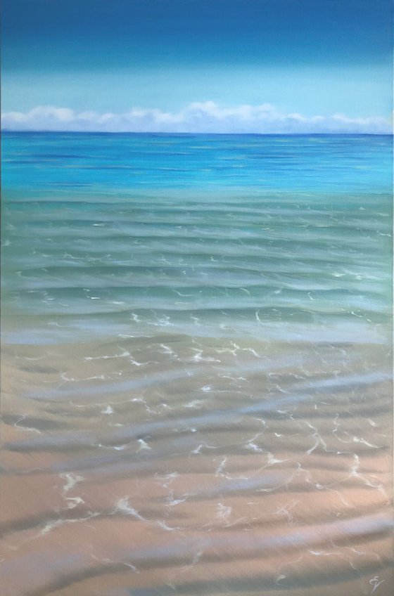 Salt and Sky