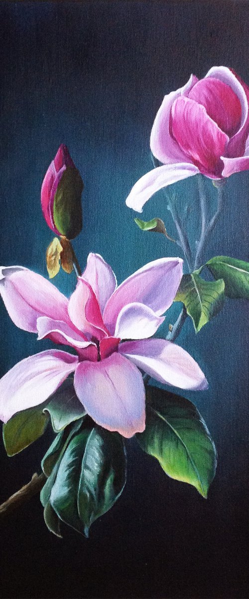 Magnolia by Olena Hontar