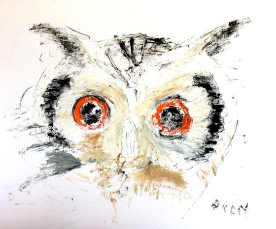 Owl Eyes