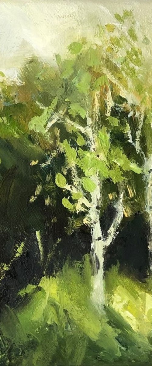 Birch Saplings by Joanna Farrow