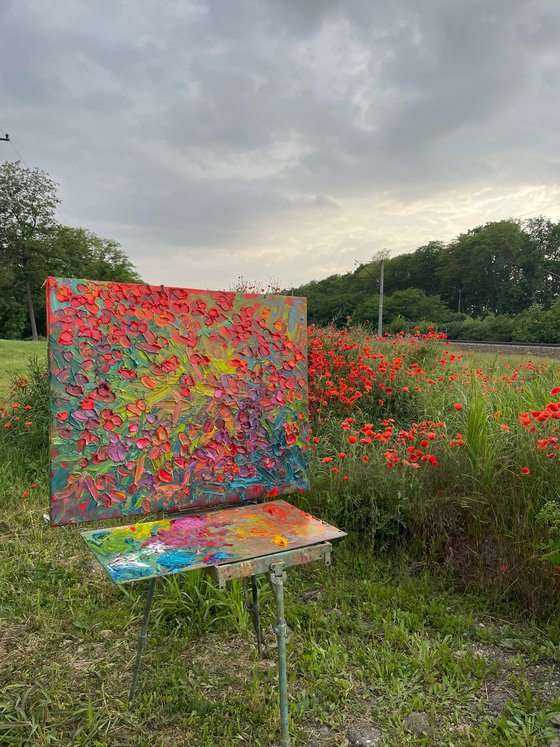 Poppies