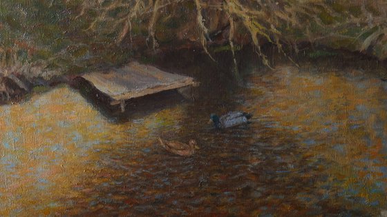 The Golden Evening