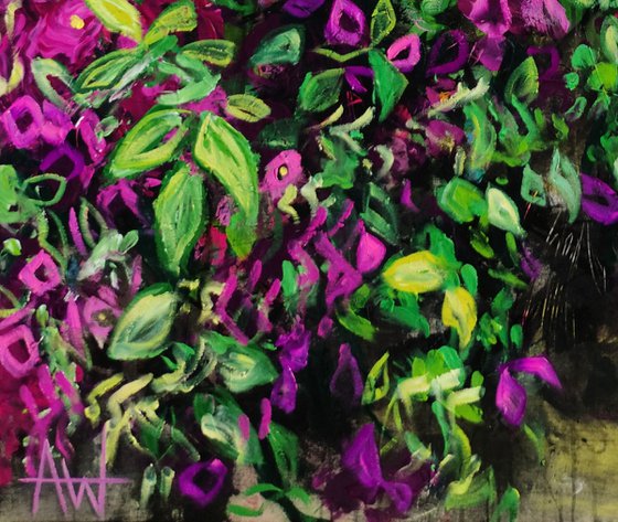 Bellflowers and Bougainvillea