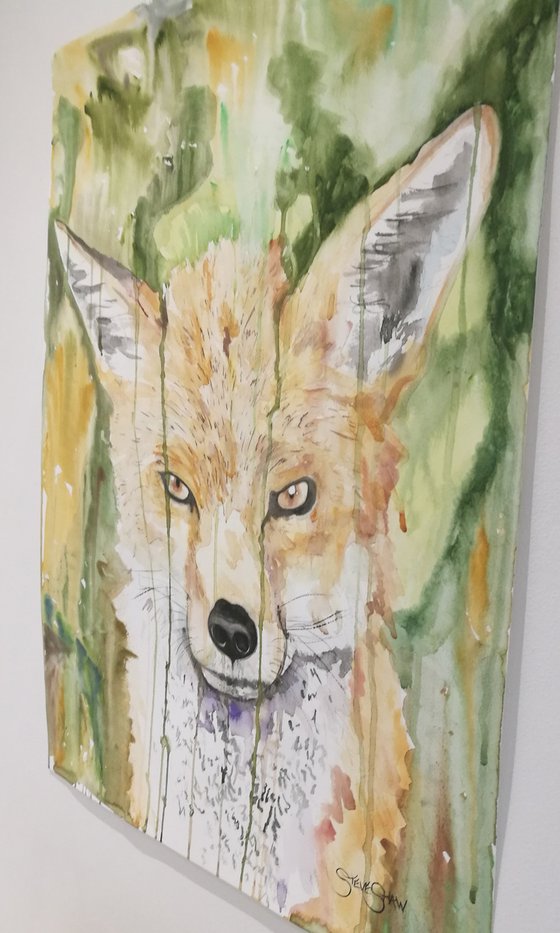 Focused. Watercolour Fox Painting on paper. 42cm x 59.4cm. Free Shipping