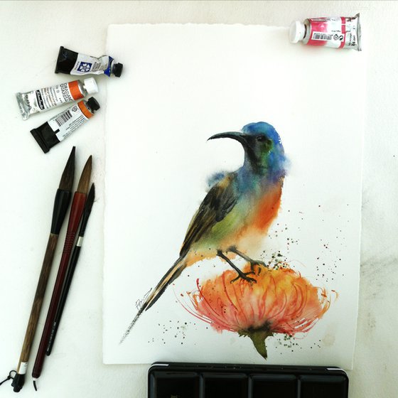 Sunbird on flower