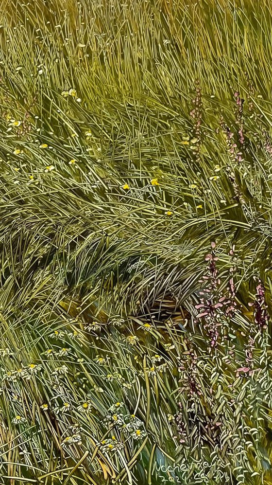 wildflowers and grasses