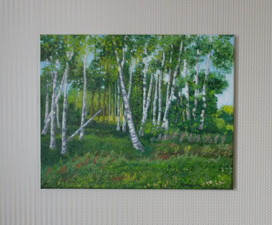 Birch Grove In May