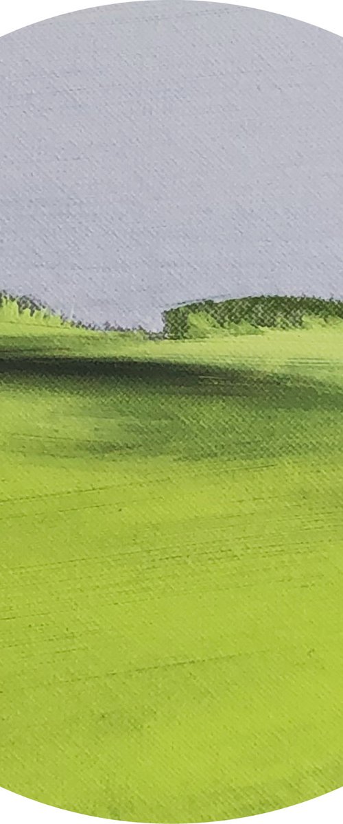 FELD H by Katrin Roth