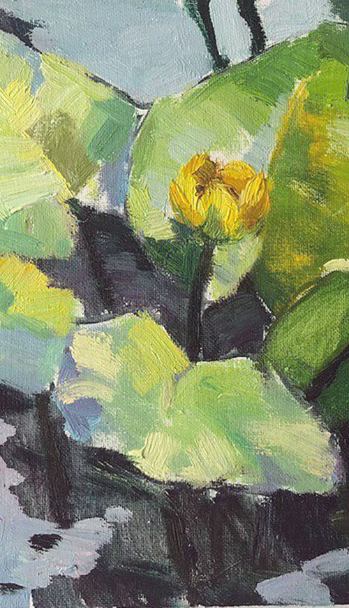 Yellow lily by Nataliia Nosyk