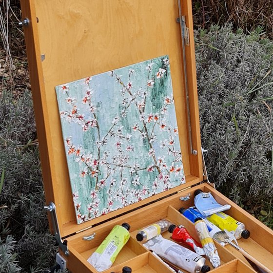 Cherries in bloom 2