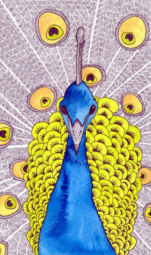 Peacock by Terri Smith