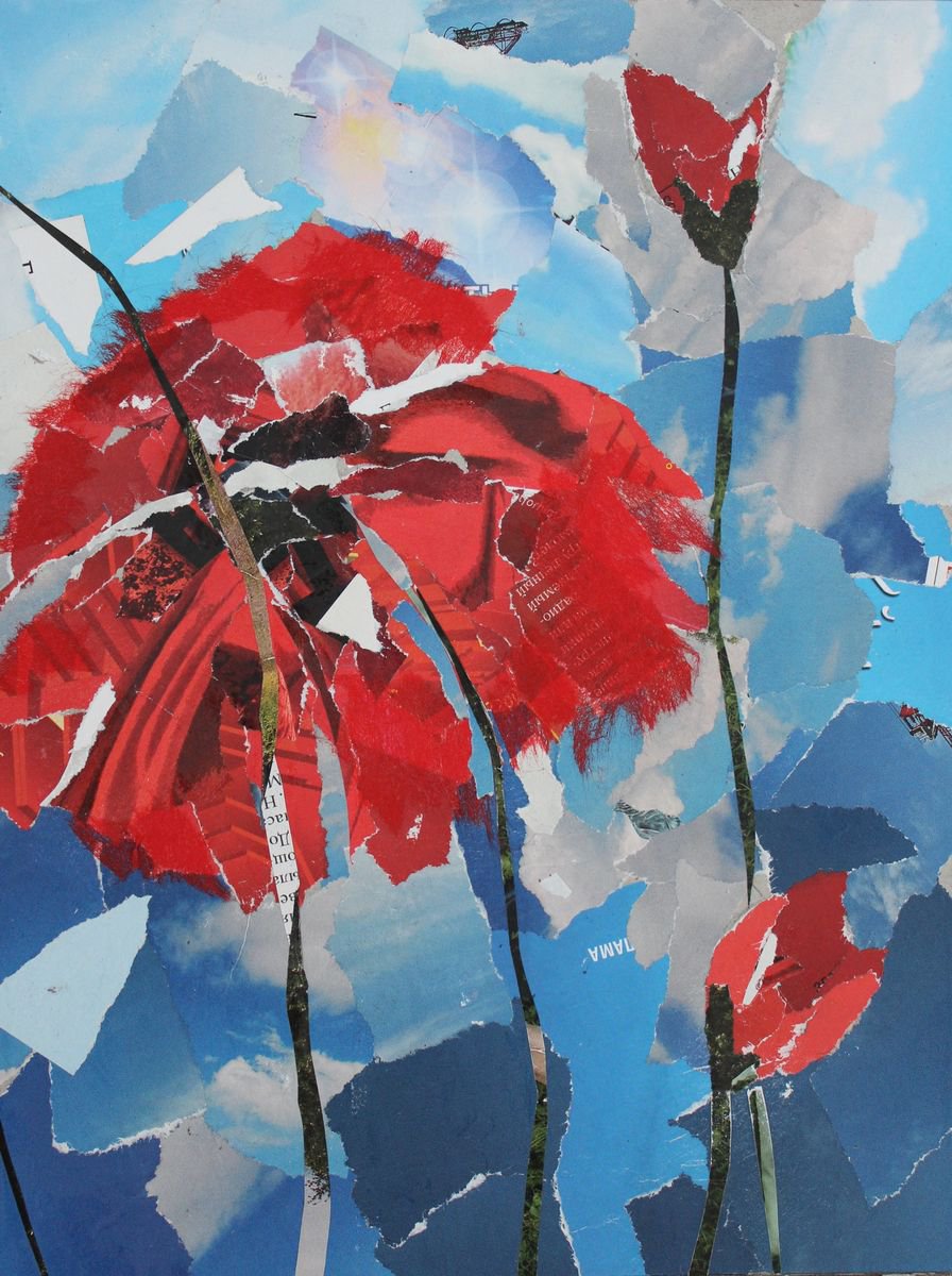 Poppies, Collage, Free shipping by Olga Sennikova