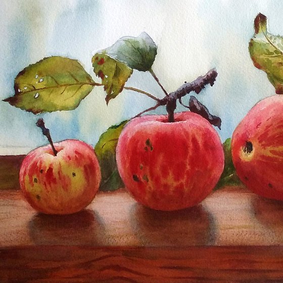 Summer apples