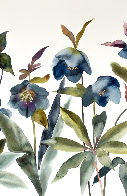 Hellebores No. 2 by Elizabeth Becker