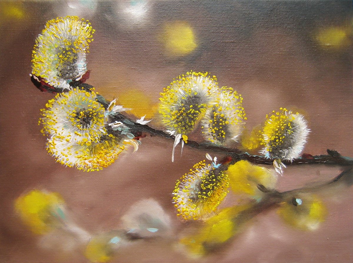 Photorealistic Oil Painting , Soft Pussy Willow Branch By Natalia Shaykina, 9 X 7, Artwork For Sale On Artfinder