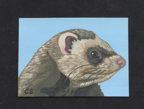 ACEO ATC Original Painting Ferret Pet Art-Carla Smale