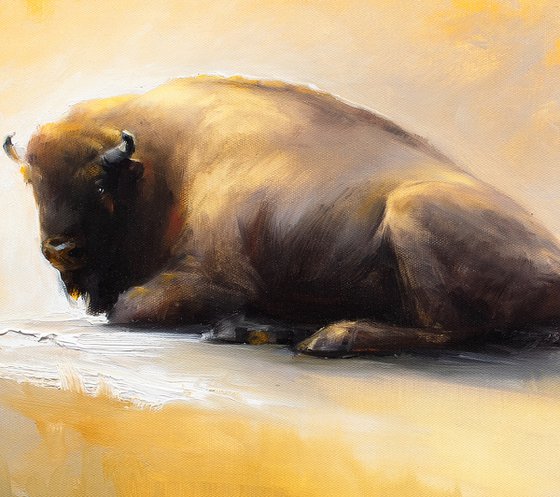 The European bison