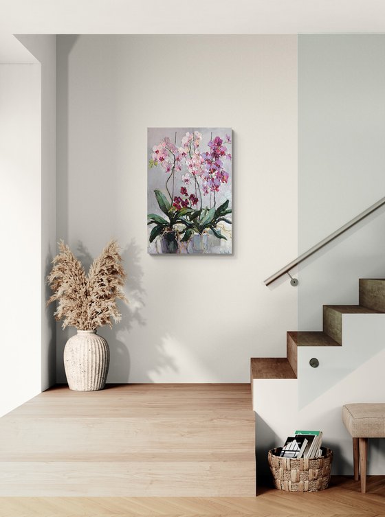 Blooming Orchids