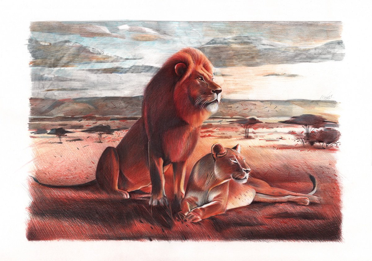 Photorealistic Animal Drawing By Daria Maier, 20 X 14, Lions, Original Artwork