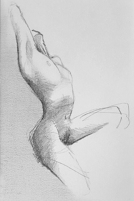 Study of the female nude 1