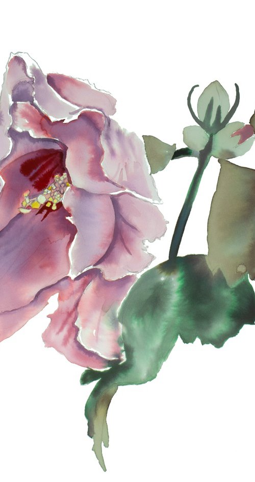 Hibiscus No. 8 by Elizabeth Becker