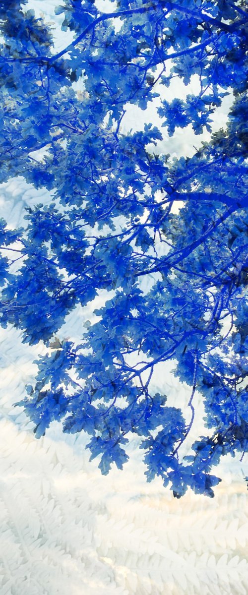Summer sky - A3 by Kerry Gerdes