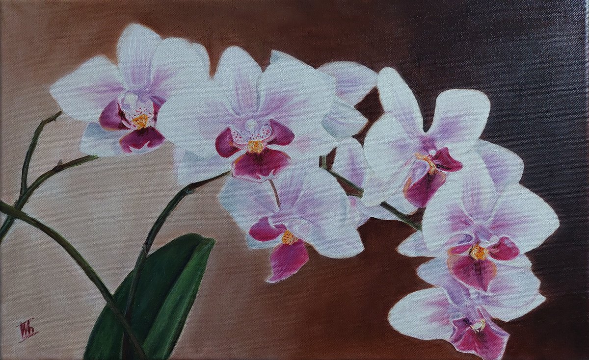 Photorealistic Oil Painting , Lovely Orchid By Ira Whittaker, 19 X 12, Artwork For Sale On Artfinder