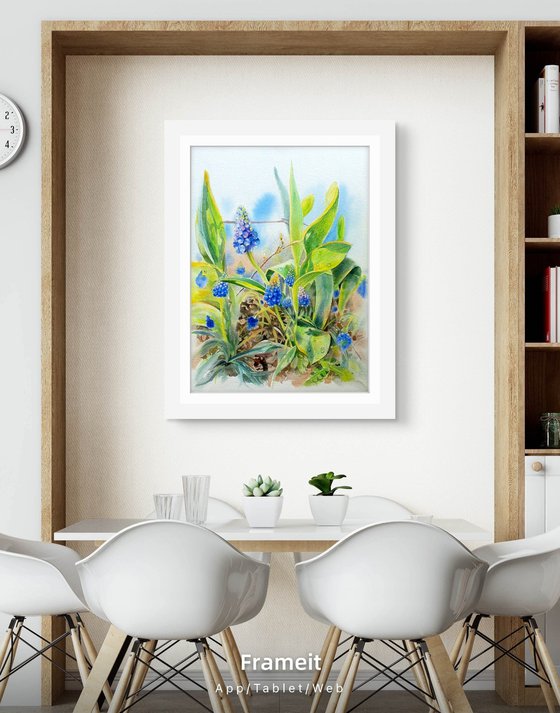 Spring Awakening Blue Muscari in Watercolor