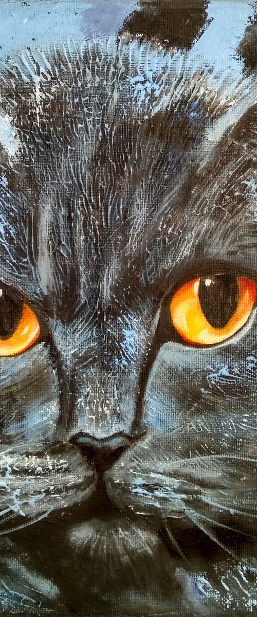 A cat named Behemoth by Yulia Berseneva
