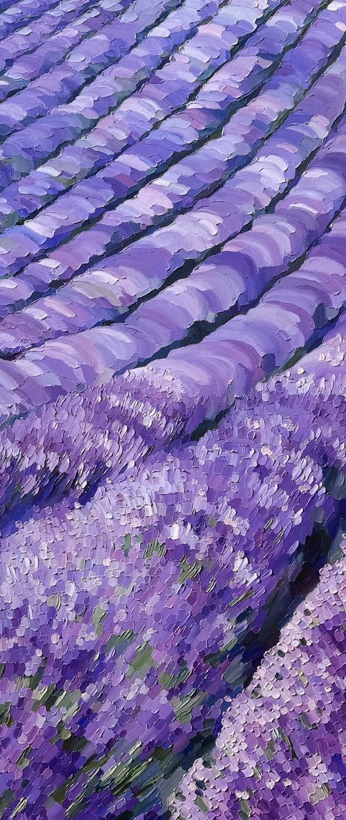 Lavender Dusk by Ulyana Korol