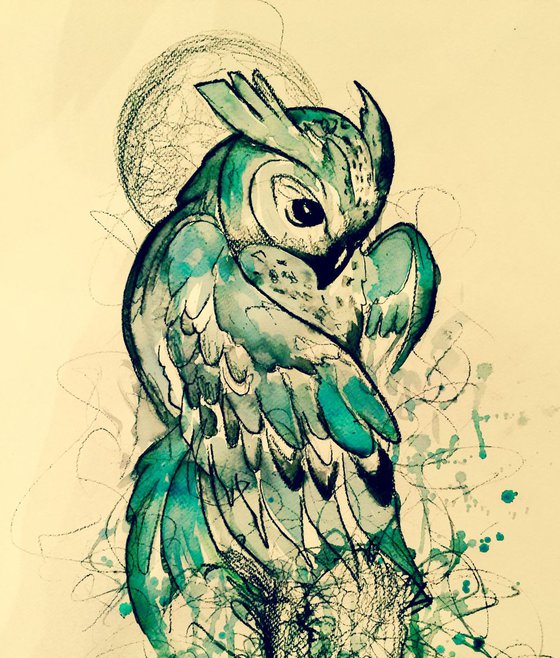 Teal 🦉 owl