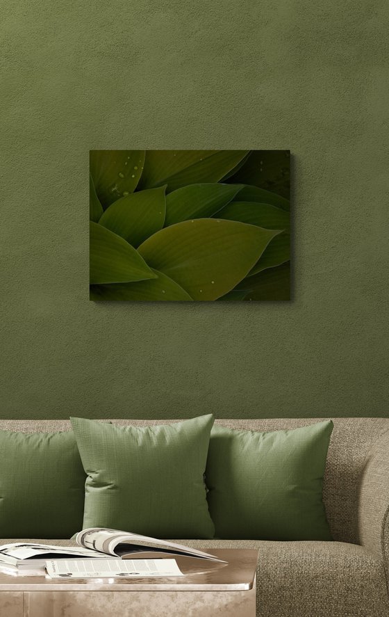 Green Tapestry