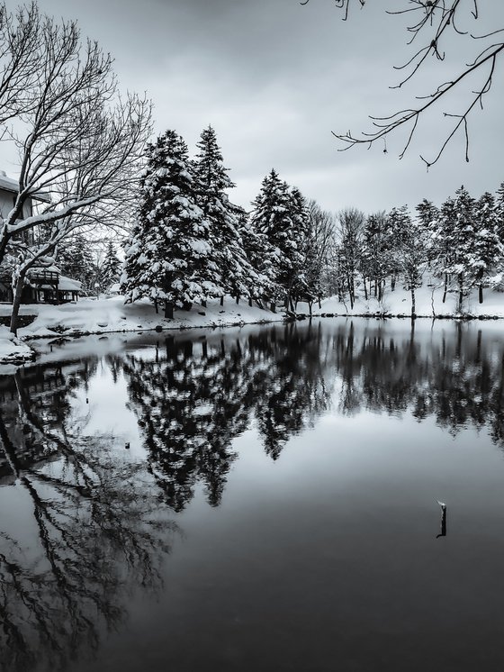 WINTER REFLECT II