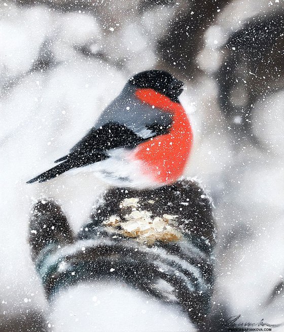 Bullfinch on mitten