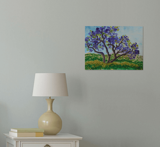 Jacaranda