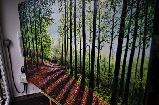 Magical Illuminated Forest Light   100cm x 150cm