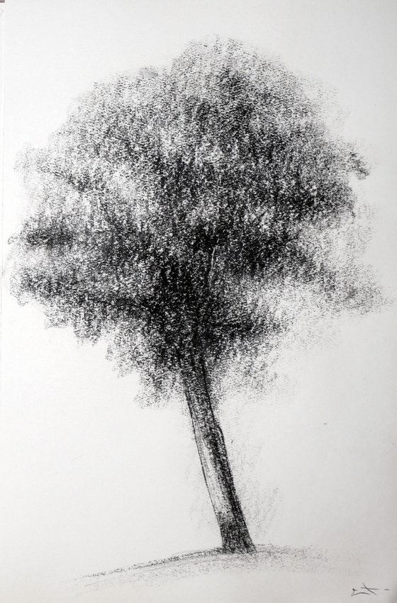 white charcoal drawing  Dessin au fusain, Dessin noir et blanc