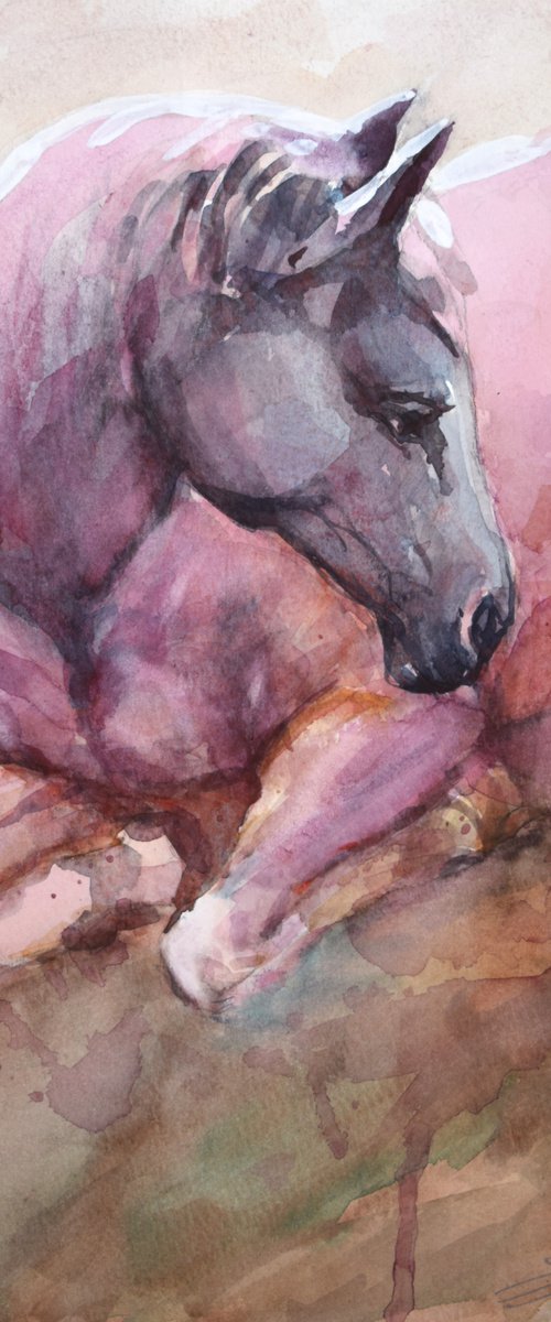 lying horse II by Goran Žigolić Watercolors