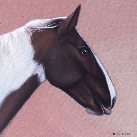 Horse Portrait 47