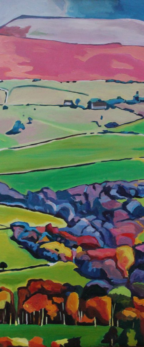 Above Crickhowell by Emma Cownie