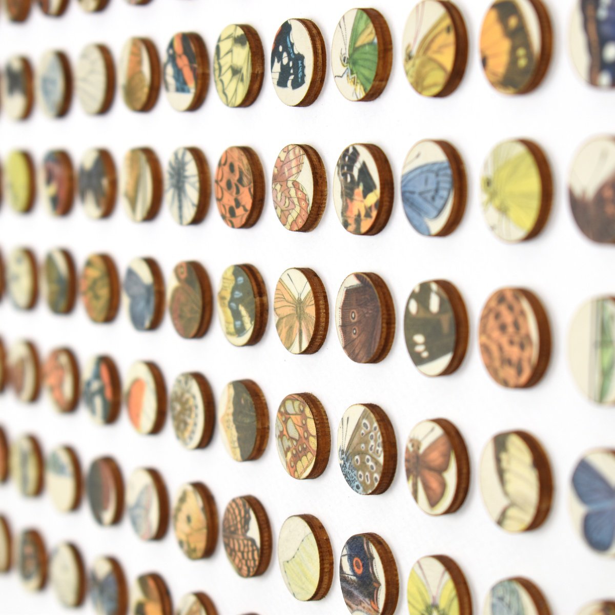 Geometric Animal Collage By Amelia Coward, 21 X 21, Butterflies, Original Artwork