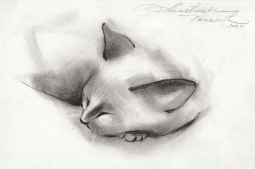 Sleeping Cat by Anastasia Terskih
