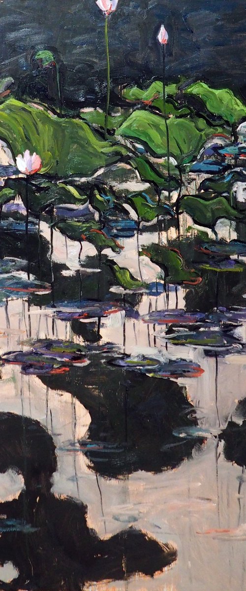 Lotus leaves by Yuanyuan Liu