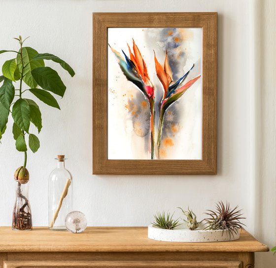 Bird of Paradise Florals